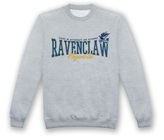 Bioworld Mikina šedá Havraspár, Harry Potter Velikost: XL