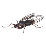 Moucha - kovová zahradní dekorace