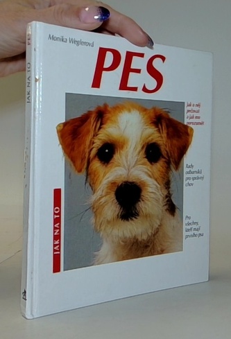 Jak na to - Pes