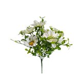 Kopretina kytička bílá  J196 bílá