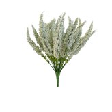 erika - vřes, bílá  SA026/ bílá