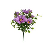 Kopretina kytička fialová  J196 fialová