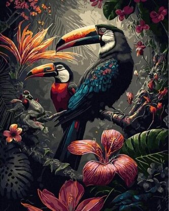 Malowanie po numerach - Kakadu 40x50cm