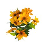 Kosmos kytička oranžová  JH026 oranžová