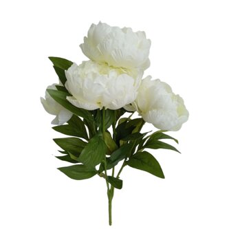 Pivoňka kytice bílá  JH071 bílá