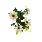 Kosmos kytička bílá  JH026 bílá