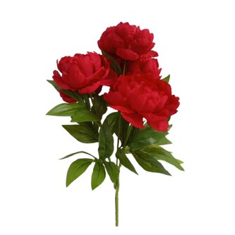 Pivoňka kytice červená  JH071 červená