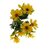 Kosmos kytička žlutá  JH026 žlutá