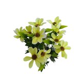 Kosmos kytička zelená  JH026 zelená