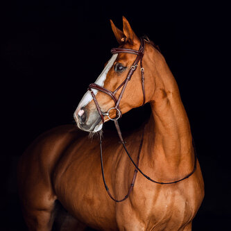 Horze Uzdečka s otěžemi Sion Hnědá Pony