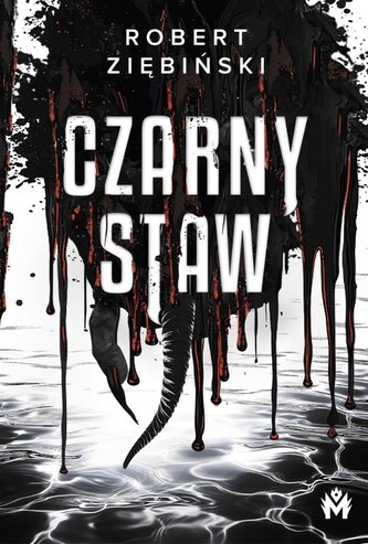 Czarny Staw Czarny Staw