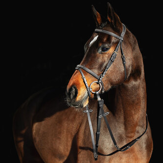 Horze Prošívaná uzdečka Constance Černá Full