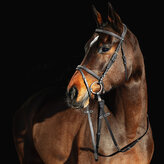 Horze Prošívaná uzdečka Constance Černá Pony