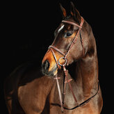 Horze Prošívaná uzdečka Constance Světle hnědá Full