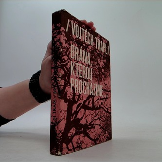 Brána, kterou procházíme