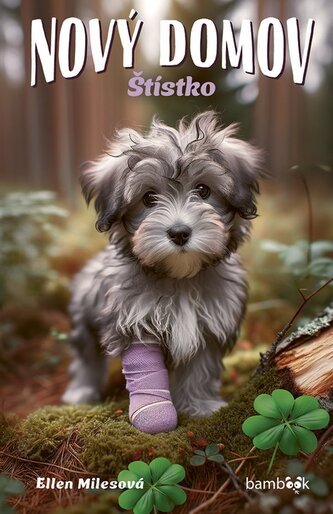 Nový domov – Štístko Nový domov – Štístko