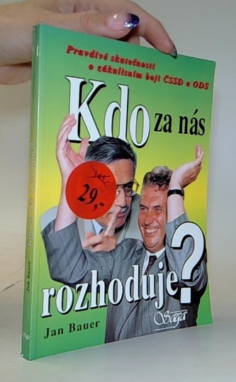 Kdo za nás rozhoduje?