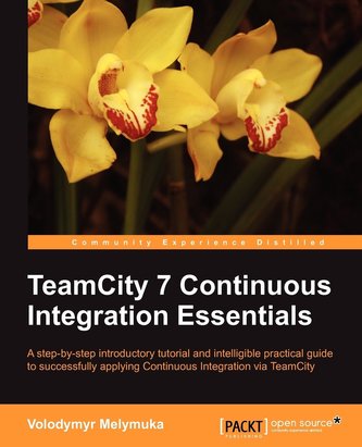 Teamcity 7 Continous Integration