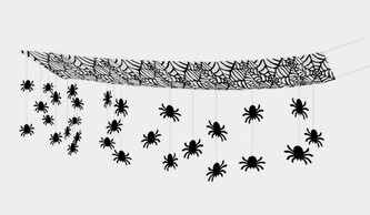 Carnival Toys Pavučina s pavouky