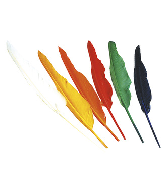 Widmann Indiánské peří barevné 12 ks