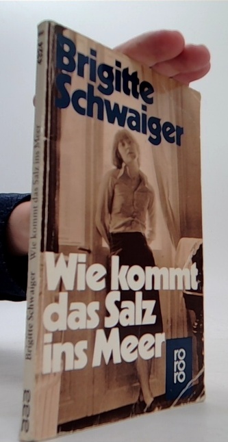 Wie kommt das Salz ins Meer