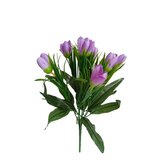 Krokus svazek, sv. fialový  JH044 sv. fialový