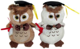 Maskotka Sowa absolwent 10cm MIX