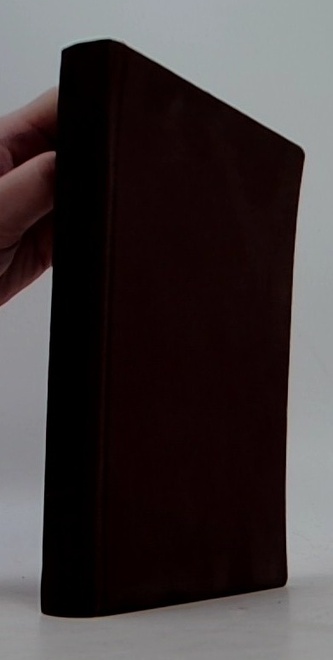 Nikola Šuhaj loupežník