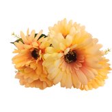 Gerbera kyt., meruňková  J153 meruňková