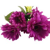 Gerbera kyt., fialová  J153 fialová