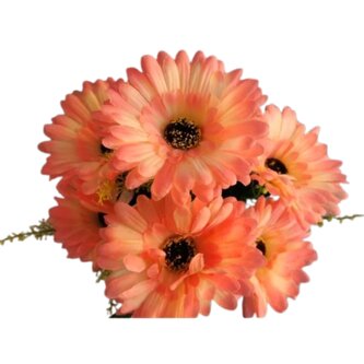 Gerbera kyt., růžovo-bílá  J153 růžovo-bílá
