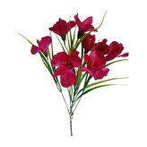 Alstromerie kytice, vínová  JH027 vínová