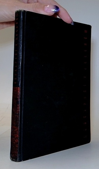 Nebezpečí v zeleném