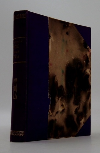 Srdce - kniha pro mládež