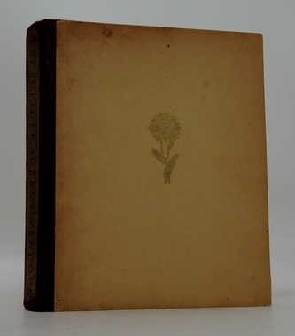 Pět povídek Boženy Němcové