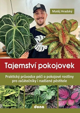 Tajemství pokojovek