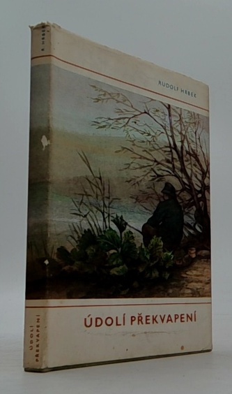 Údolí překvapení