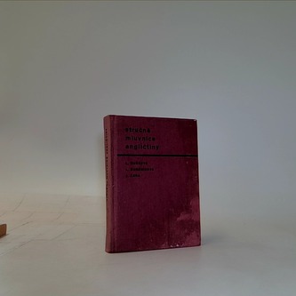 Stručná mluvnice angličtiny