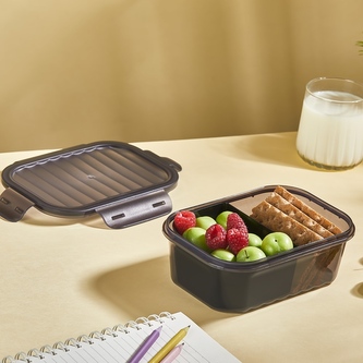 Dóza plast dělená 1L 19x13x7cm