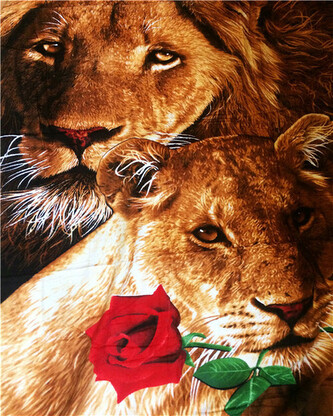 PROMO Malowanie po numerach Lew i lwica 40x50cm 5637