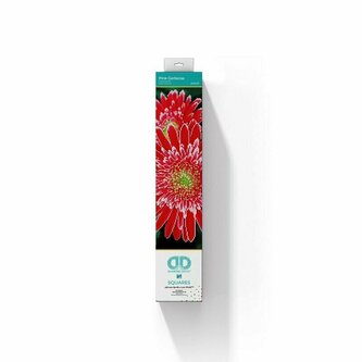 PROMO Haft diamentowy Diamond Dotz Diamentowa mozaika Gerbera różowa 58x48cm DQ10001