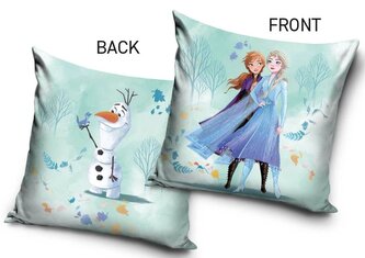 Dětský polštářek FROZEN KOUZELNÝ LES 40x40 plyšový modrý Dětský polštářek FROZEN KOUZELNÝ LES 40x40 plyšový modrý