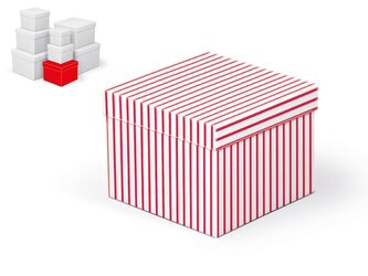 krabice dárková C-C009-D 14x14x11cm 5371276