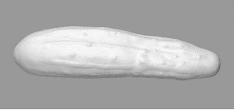 Ogórek styropianowy 19x4.5 cm OFVCET, Bovelacci