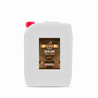 Green idea Sirup Biotin s boswelií 5 l 5000 ml Green idea Sirup Biotin s boswelií 5 l 5000 ml