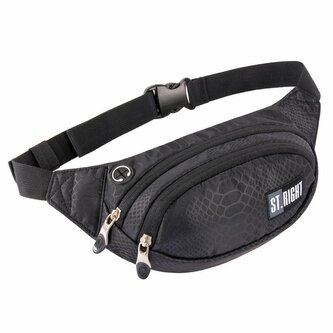 PROMO Saszetka na pasek nerka ST.RIGHT WB-01 Shiny Snake