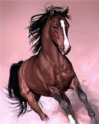 Malowanie po numerach Koń w galopie, brązowy 40x50cm 1005665