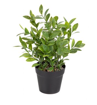 Umělá rostlina AMENDED | 23 cm | 887500