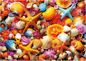 EDUCA Puzzle Mušle 1000 dílků