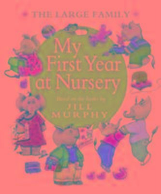 The Large Family: My First Year at Nursery